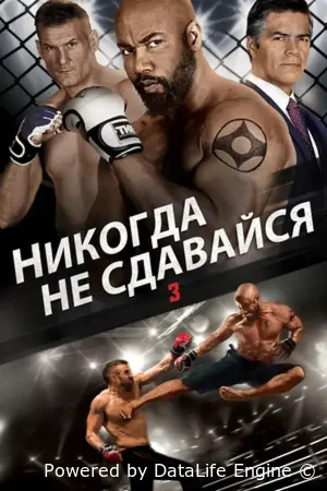 Никогда не сдавайся 3