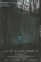 Видеозапись исчезновения ребёнка