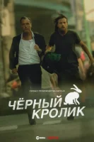 Чёрный кролик